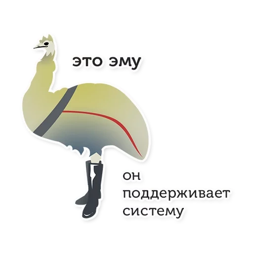 bird, emu bird, emu ostrich, crane bird, ostrich emu children