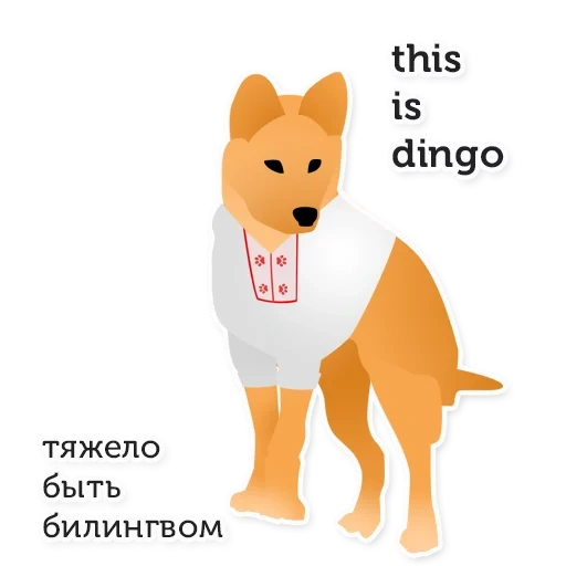 anjing, dingo, shiba inu, anjing akita, anjing dingo