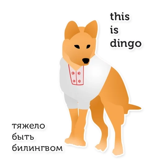 perro, dingo, shiba inu, perro akita, perro de dingo