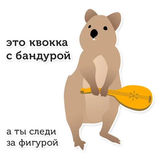 kuvoka, engraçado, urso, animal, urso balalekoy