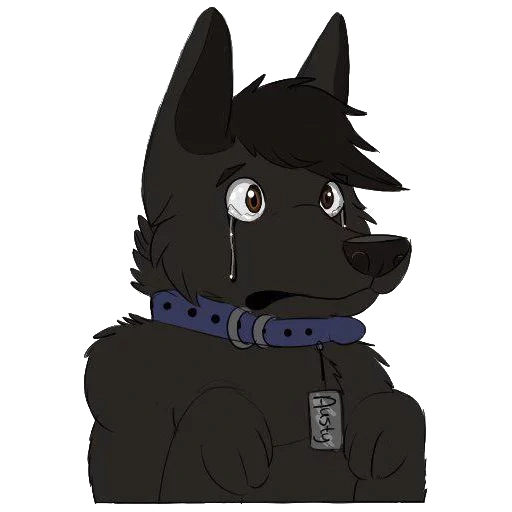 anime, furri wolf, furri wolf, référence du loup, personnage de chien