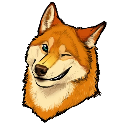 the fox, akita inu, wow dog, der kopf des wolfes, akita inu