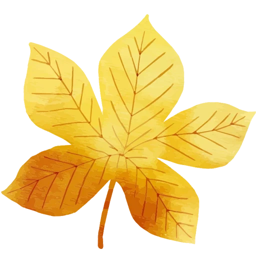 chestun sheet, yellow leaves, autumn leaves, maple leaves, the yellow sheet of chestnut