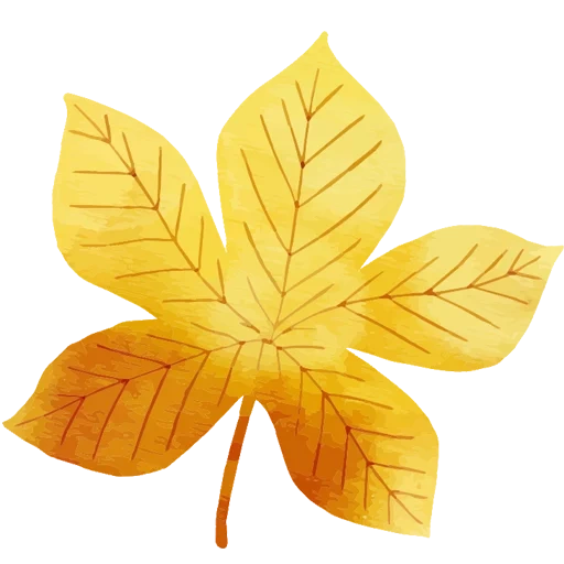 feuille de chère, feuilles jaunes, feuilles d'automne, feuilles d'érable, la feuille jaune de châtaigne