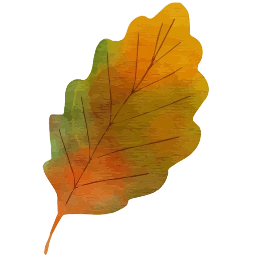 oak sheet, oak leaf, autumn leaves, oak sheet sheet, autumn oak sheet