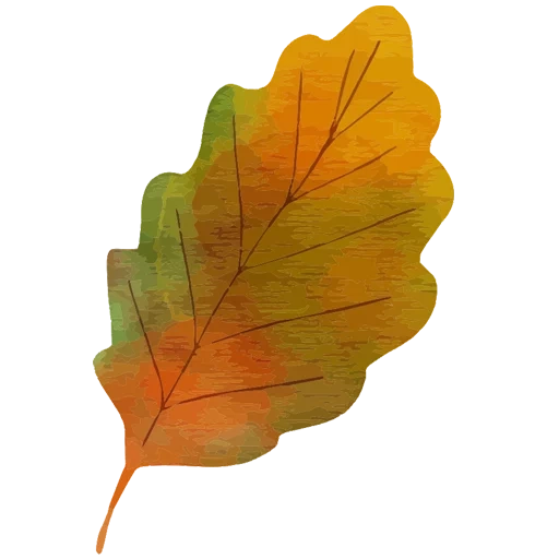 feuille de chêne, feuille de chene, feuilles d'automne, feuille de chêne, feuille de chêne d'automne