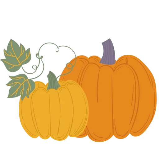 zucca, zucca, clipart di zucca, illustrazione di zucca, shutterstoy di stock vettoriale di zucca