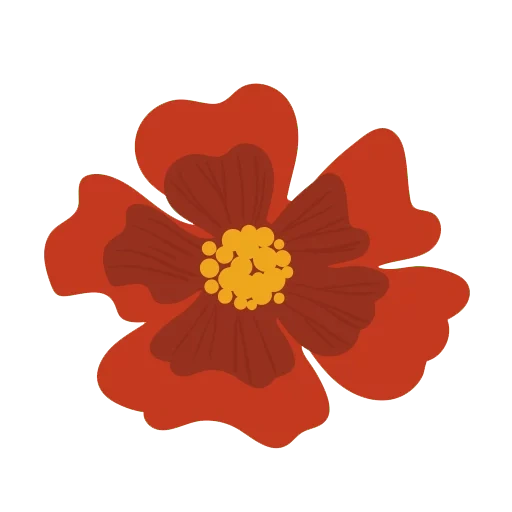 clipart, 5 petals, illustration, flowers illustration, armenian genocide 1915 forget me down