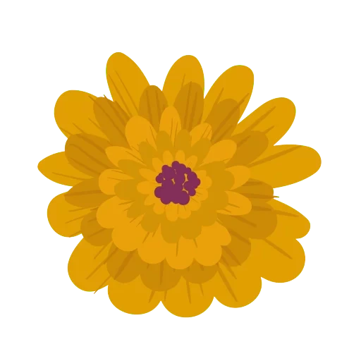 yellow flowers, the icon flower, yellow petal, sunflower icon, orange flower of the logo