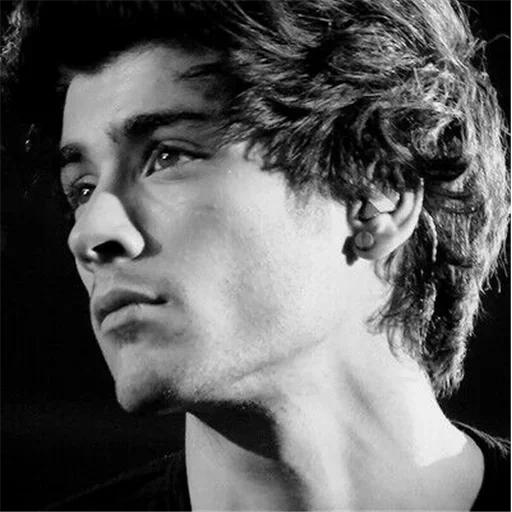 tipo, el hombre, zane malik, perfil de harry, estábamos de gira