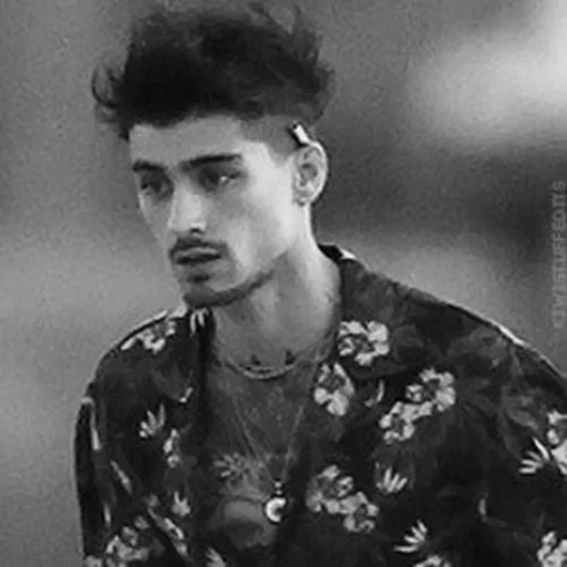 zane, zayn, il maschio, zane malik, uomo affascinante