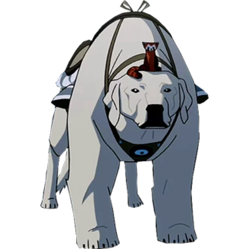 la légende de cora, avatar legend cora tavern, la légende d'avatar koranaga, la légende de l'ours cora chien, la légende de la tête chien cora