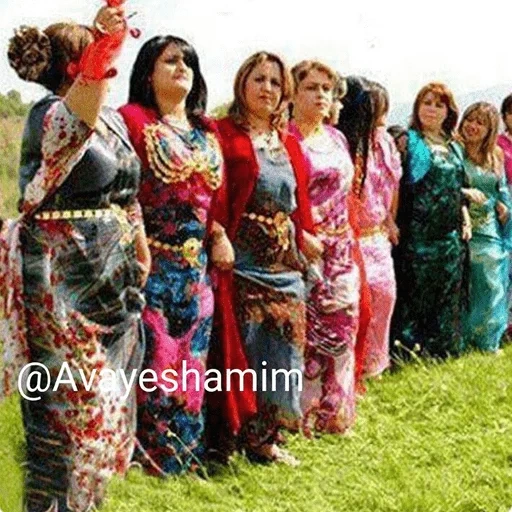 the girl, kurdistan, kurdische kleidung, der kurdische gowand, original von halay kurdish