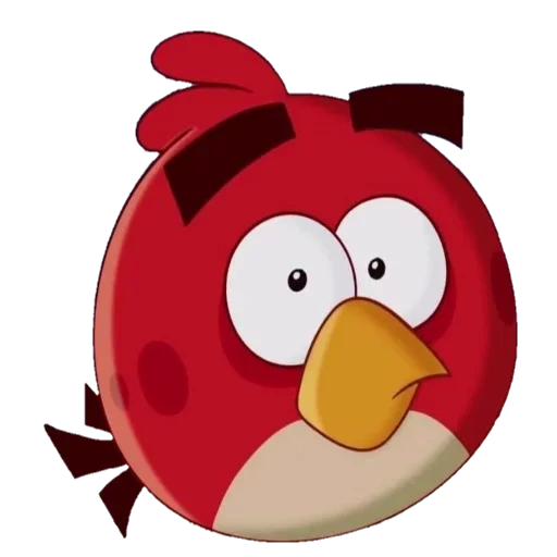 angry birds, engri bird red, engri bird red, avestruz raivoso vermelho, angry burts angry birds