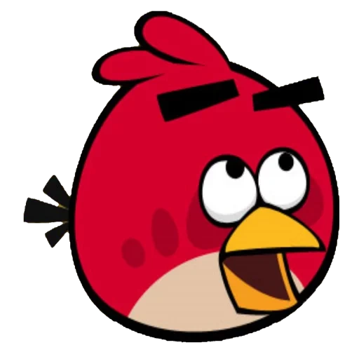 engry boll, angry birds, angry birds, birds malvagi ed, girl of red bird engry berdz