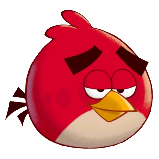 angry birds, engry burdz ed, birds en colère rouge, oiseaux d'engry berdz, engry berdz evil birds