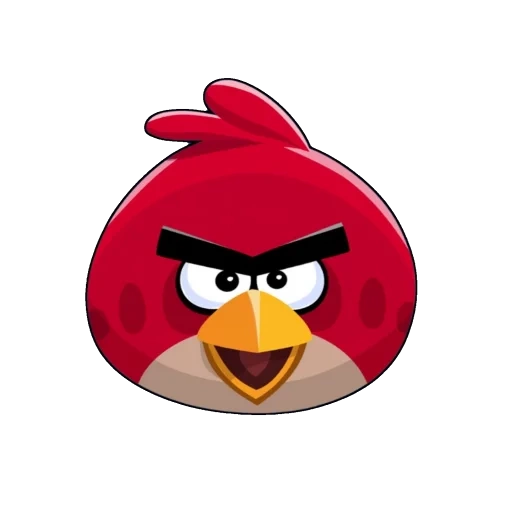 angry birds, pájaro rojo enojado, juego de pájaro enojado, juego de pájaros engeli, angry birdie rojo