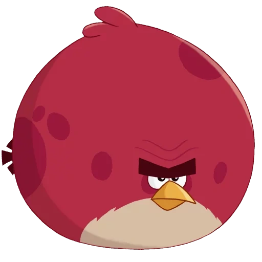 angry birds, terens angry birds, terens engry berdz, personnages angry birds, engry berdz bird terens