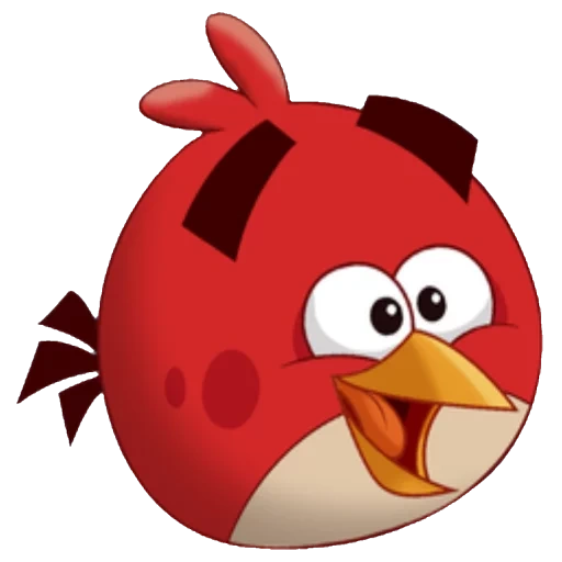 angry birds, nguli pájaro rojo, nguli pájaro rojo, angry birds de engry booz, nglebutz red bird