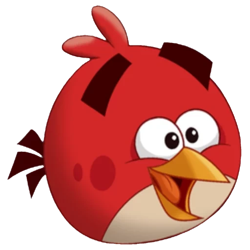 angry birds, engry burdz ed, engry berdz est rouge, engry berdz evil birds, oiseau rouge d'engry berdz