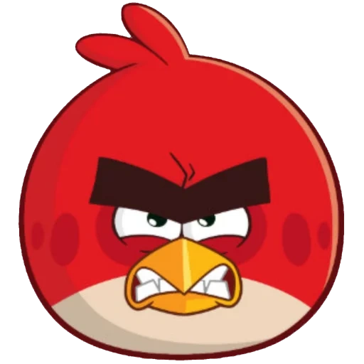 angry birds, engry berdz ed, engry berdz è rosso, engry berds evil birds, engry berds è raro triste