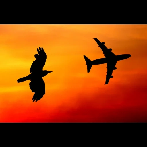 самолет, небо закате, самолет закате, силуэт самолета, российские самолеты