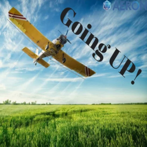 airplane, cornflower field, corn to the sky, a plane over the field, corn over the field