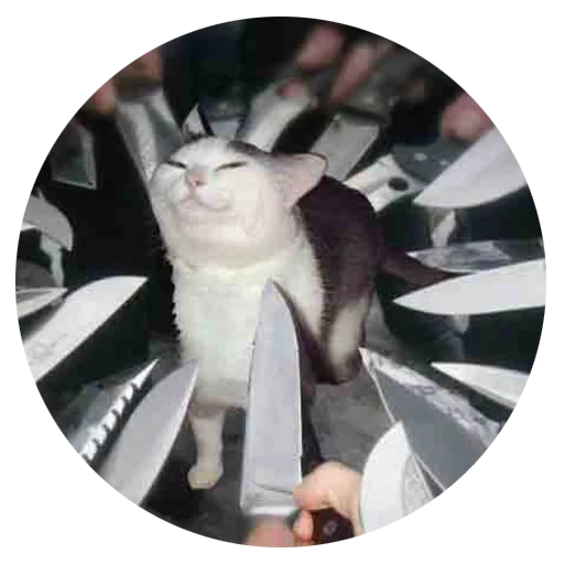 A knife meme - bluekittiru’s Cover Photo