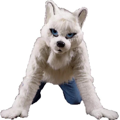 щенки хаски, собака хаски, хаски белом фоне, хаски solid white, игрушки ханса волк
