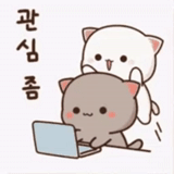 mochi cat, katiki kavai, kawaii cats, drawings of cute cats, kawaii cats a couple