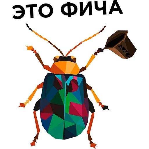 beetle, worm, butterfly beetle, insect beetle, polygonal beetle