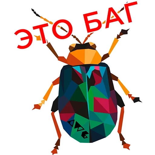 beetle, insect, insect, polygonal beetle, animal insect