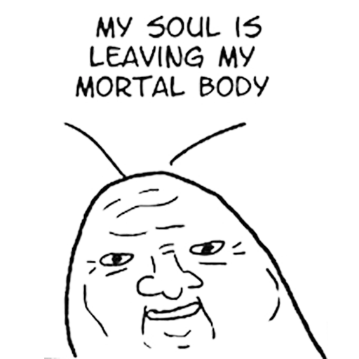 мемы, мальчик, шутки смешные, душа покидает тело мем, mortal body deathless soul