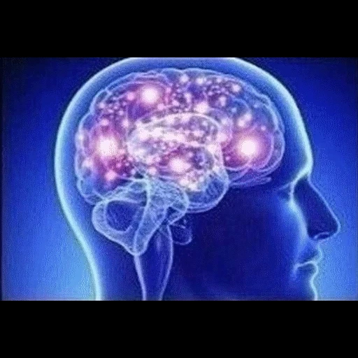 anon, meme with the brain, illustration, overheard, human brain