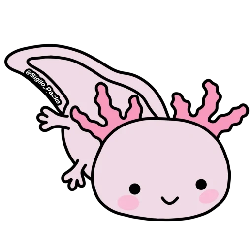 axolotl, axolotl art, axolotl está escuro, naomi lord axolotl