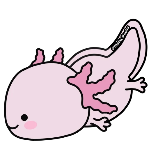 axolotl, axolotl pokémon, axolotl kawai chibi, les autocollants axolotle sont kawaii