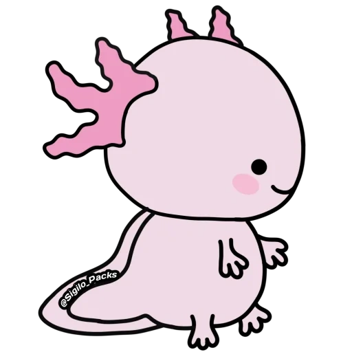 axolotl, axolotle est mignon, dessin axolotl, coloration axolote