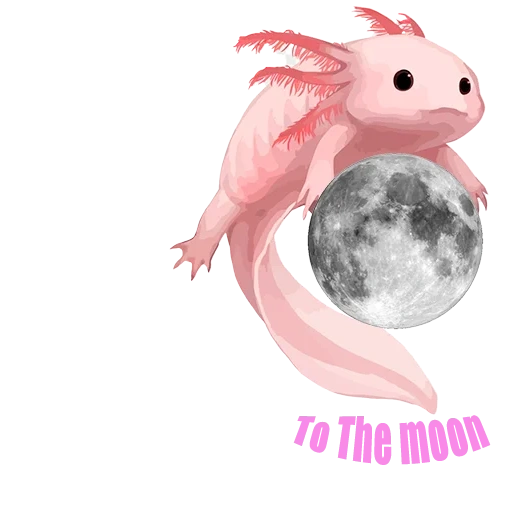 axolotl, dolce axolotl, axolotle sims 4, disegno axolotl, axolotle adult