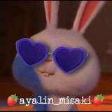 🍓ayalin_misaki🍓