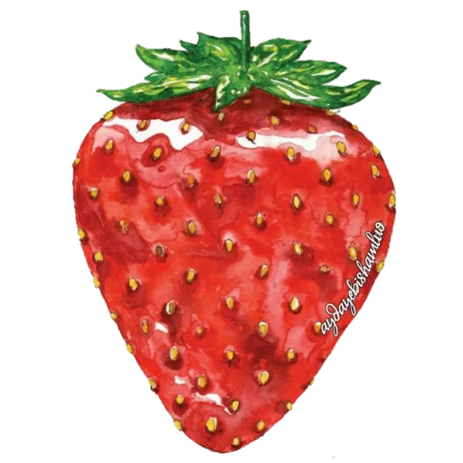 strawberry, stroberi segar, strawberry juicy, stroberi yang indah, ilustrasi stroberi
