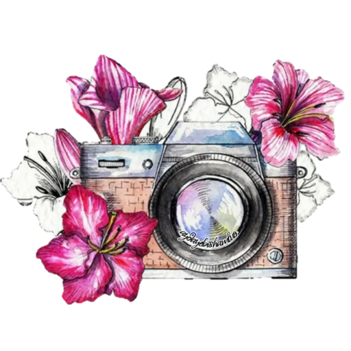 imagen, dibujo de cámara, cámara de acuarela, cámara de acuarela, camera flowers sketch
