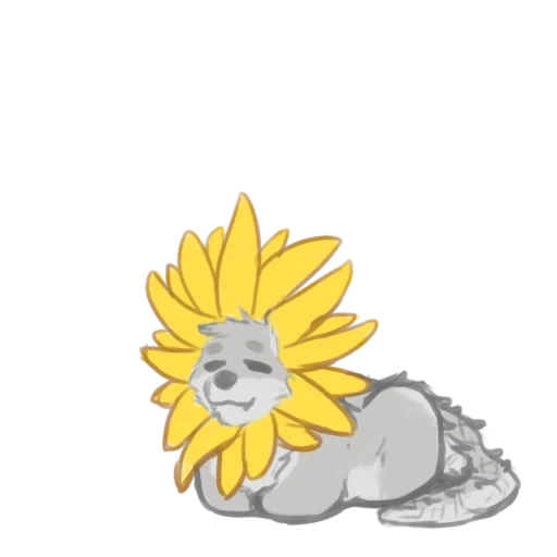 cat, sunflower, floyd's sunflower, sunflower flower, andetai sunflower