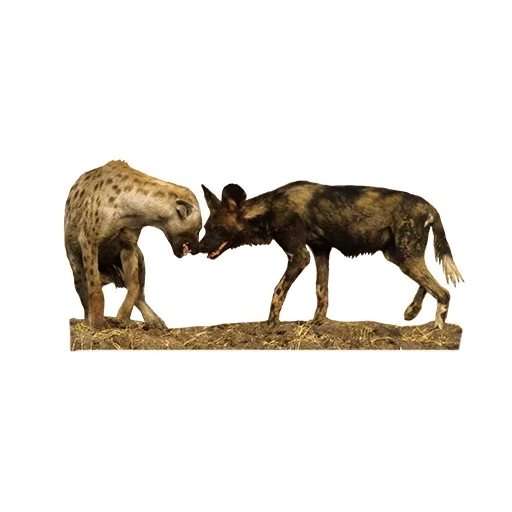moose, elk boar, elk children, edgar degas of sculpture, sculptor animalist tretyakov gallery lanser