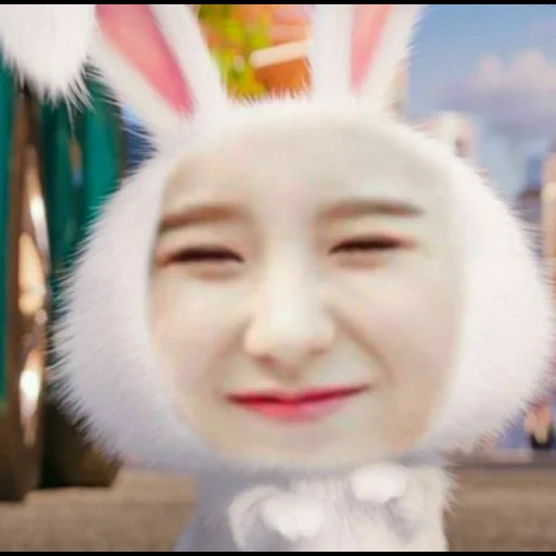 asiático, conejito, conejito blanco, bola de nieve de conejo, dibujos animados de bola de nieve de conejo
