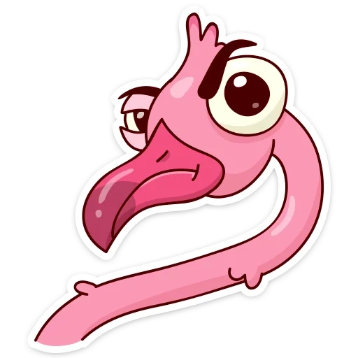 flamingo, flamingo eyo, flamingo ayo, expression de flamant rose