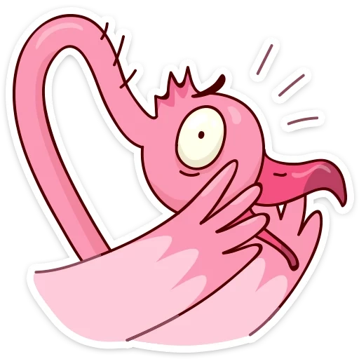 flamingo, flamingo ayo, flamingo eyo