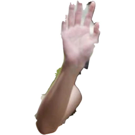 mano, palmera, parte del cuerpo, mano de mujer, la mano femenina sostiene