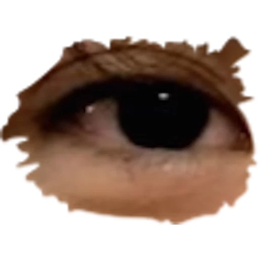 eye, pupil, black eyes, the eye blinks, realistic eye