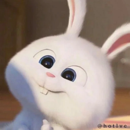 bunny, zaitsev, animali carini, vita segreta del coniglio dei cartoni animati, vita segreta degli animali domestici hare snowball