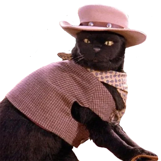 gato, gato salem, mafioster de gato, salem sabrina, sabrina little witch salem